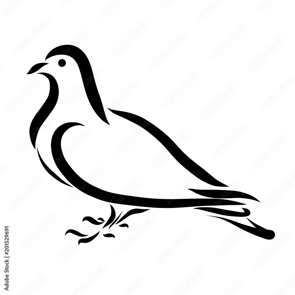 Standing pigeon, painted with black smooth lines Standing pigeon, painted with black smooth lines