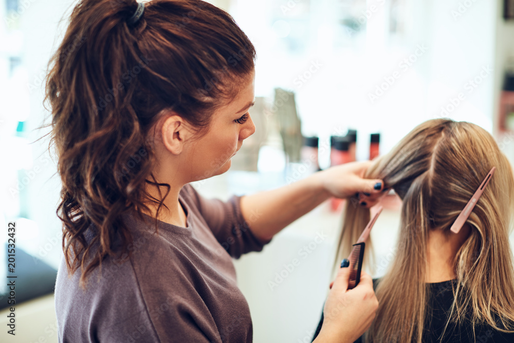Naklejka premium Hairdresser styling a client's hair in her salon