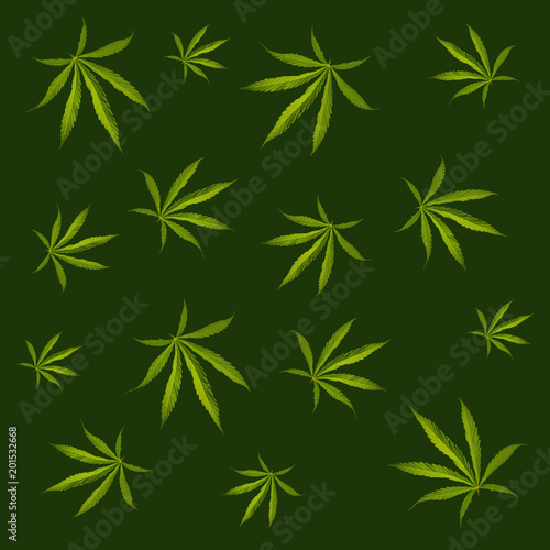 Leaves of marijuana on a dark green background