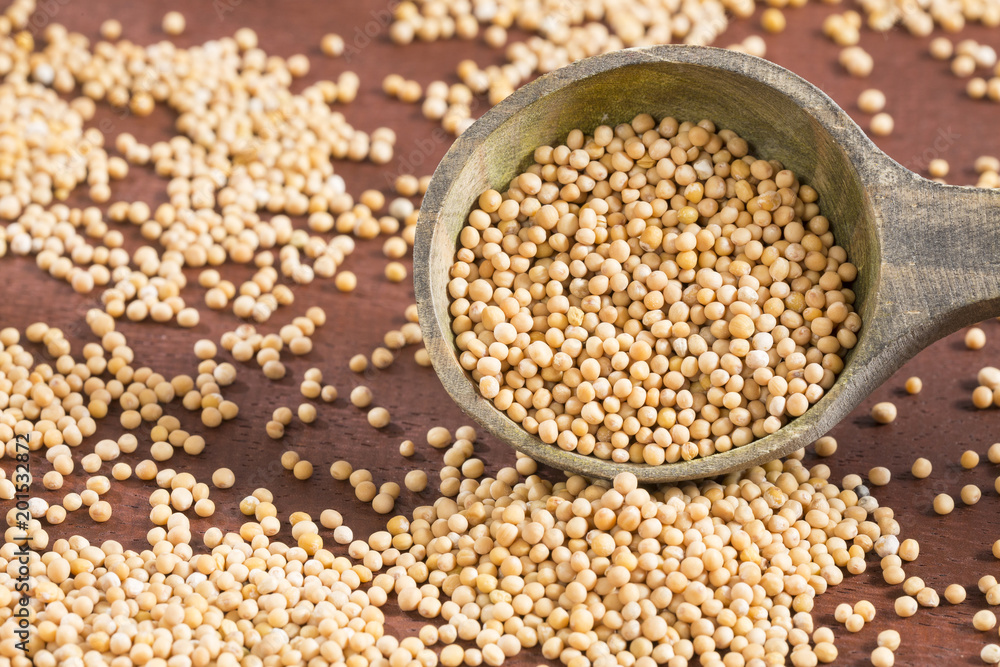 Yellow grain mustard - Sinapis alba Yellow grain mustard - Sinapis alba
