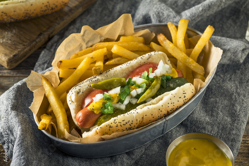 Принти на полотні Homemade Chicago Style Hot Dog with Mustard