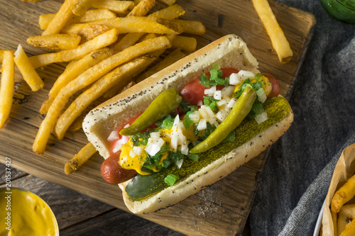 Принти на полотні Homemade Chicago Style Hot Dog with Mustard
