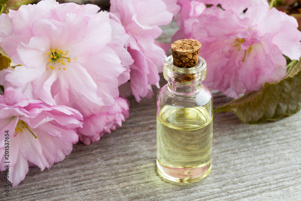 A bottle of essential oil with pink kwanzan cherry blossoms A bottle of essential oil with pink kwanzan cherry blossoms