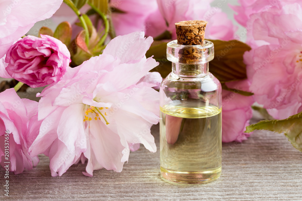 A bottle of essential oil with pink kwanzan cherry blossoms A bottle of essential oil with pink kwanzan cherry blossoms