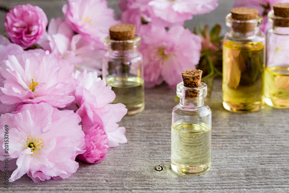 Bottles of essential oil with pink kwanzan cherry blossoms Bottles of essential oil with pink kwanzan cherry blossoms