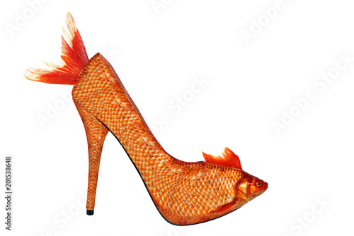Obraz na plátně Gold fish high heel, isolated on white background