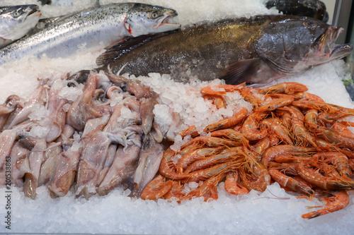 Freshly caught European squids, depp-water rose shrimps, grouper and salmon fishes on the counter in a greek fish shop. photo