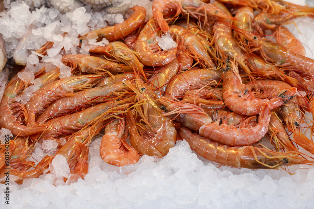 Freshly caught depp-water rose shrimps or Parapenaeus longirostris on the counter in a greek fish shop. Freshly caught depp-water rose shrimps or Parapenaeus longirostris on the counter in a greek fish shop.