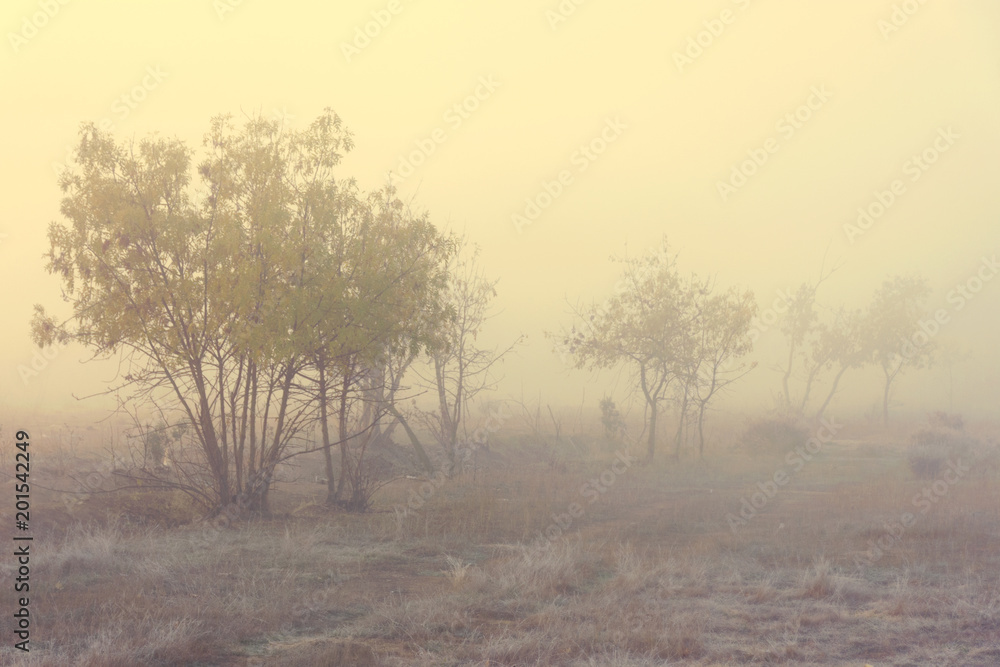 Paisaje con casa aislada, con niebla matinal, al alba, al amanecer Paisaje con casa aislada, con niebla matinal, al alba, al amanecer