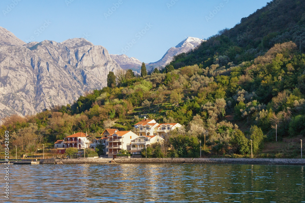 Fototapeta premium Mediterranean landscape with contrast of snow-covered and green mountains. Montenegro, Bay of Kotor ( Adriatic Sea )