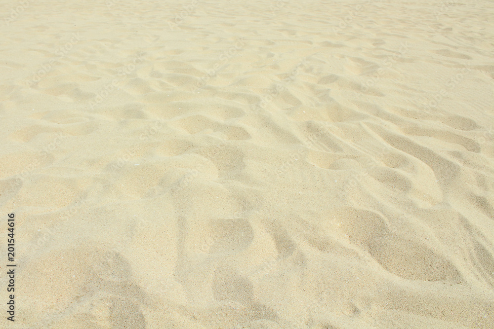 Beautiful shell sand on the beach. Close-up. Background. Texture. Beautiful shell sand on the beach. Close-up. Background. Texture.