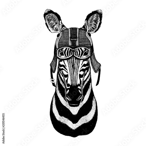 Zebra, horse Hipster animal wearing motorycle helmet. Image for kindergarten children clothing, kids. T-shirt, tattoo, emblem, badge, logo, patch