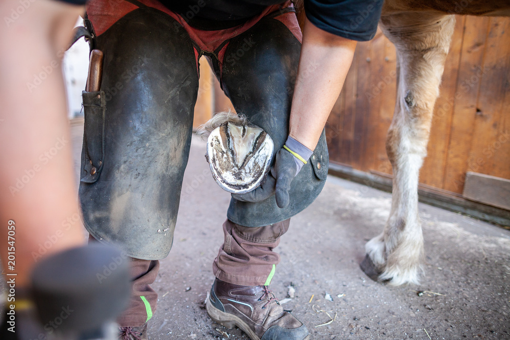 a blacksmith works on a horse hoof a blacksmith works on a horse hoof