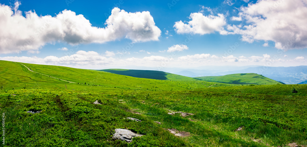 beautiful panoramic mountainous landscape. lovely summer scenery of grassy hills under the  blue sky with clouds