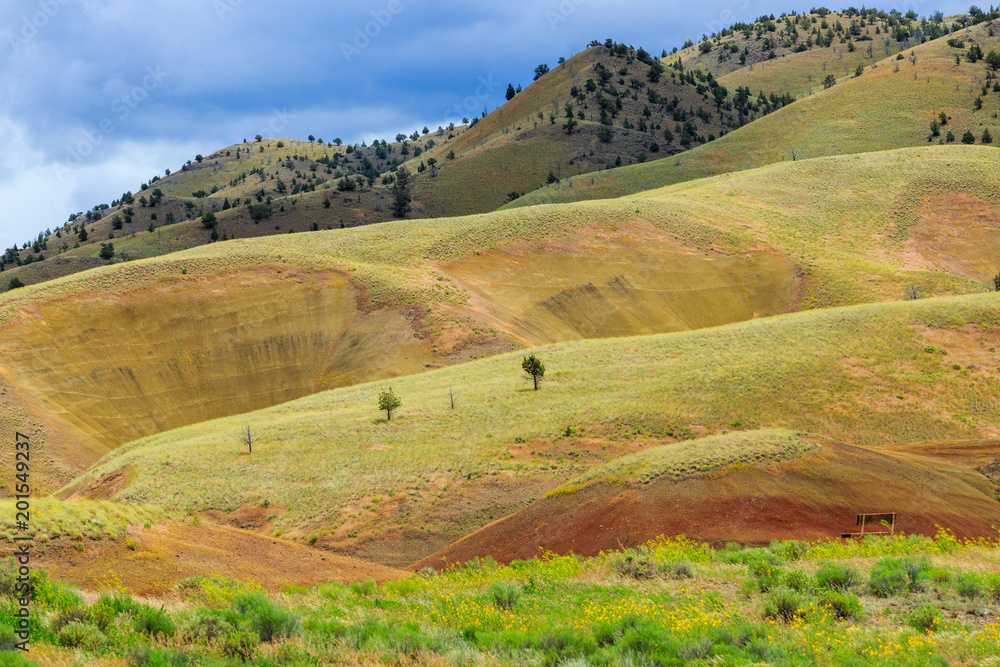 Obraz premium North America, United States, Oregon, Central Oregon, Redmond, Bend, Mitchell. Series of low clay hills striped in colorful bands of minerals, ash and clay deposits.