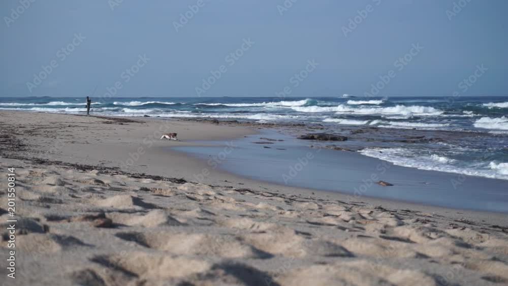 The dog runs along on the beach playing with her mistress. In the background a fisherman. Sardinia South West. The dog runs along on the beach playing with her mistress. In the background a fisherman. Sardinia South West.