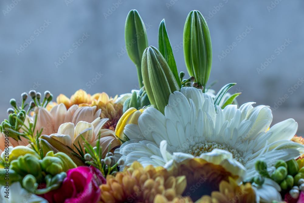 Obraz premium Springtime