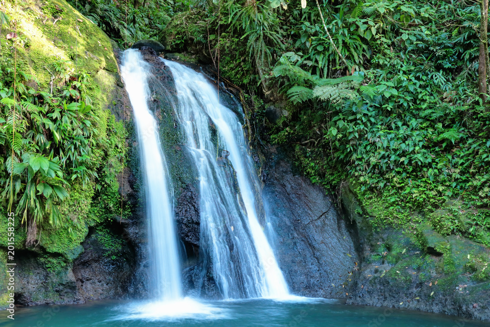 Fototapeta premium La cascade aux écrevisses en Guadeloupe
