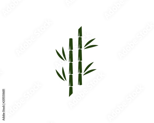 bamboo ilustration logo vector
