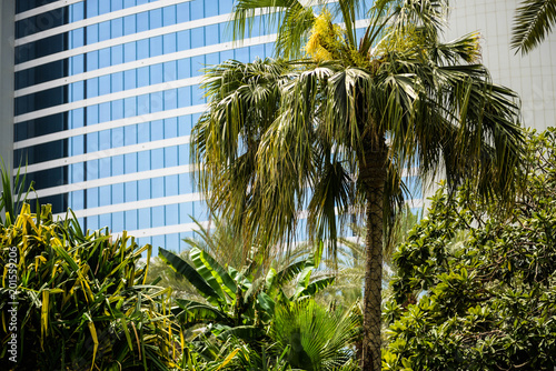 nature and modernity