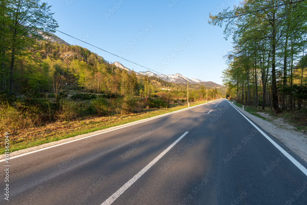 Fototapeta premium Landstraße in der Dämmerung