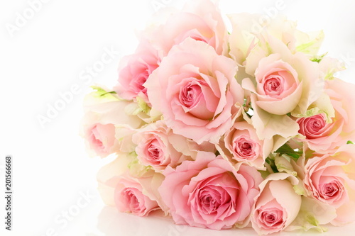 Fototapeta Naklejka Na Ścianę i Meble -  薔薇　背景