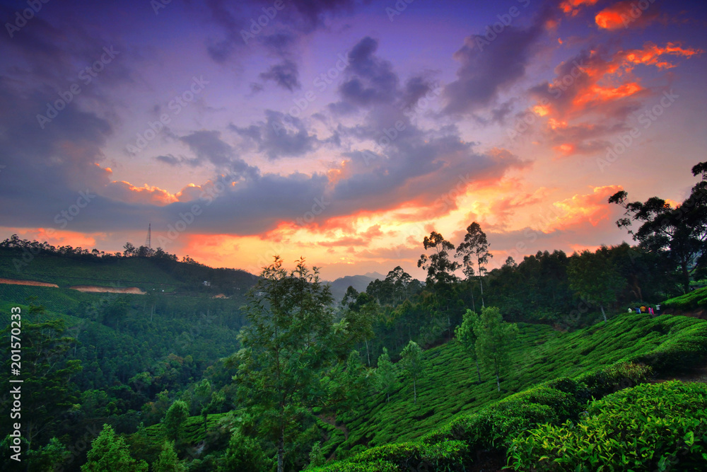 Sunset over western ghats in munnar.