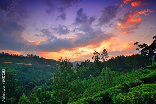 Sunset over western ghats in munnar. photo