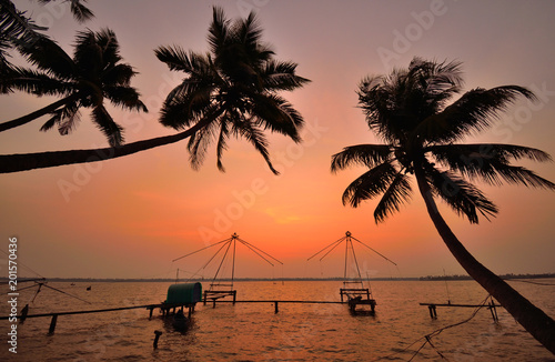 Silhouette of coconut trees along with chinese fishing nets in kumbalangi, a suburb of kochi during sunset. photo