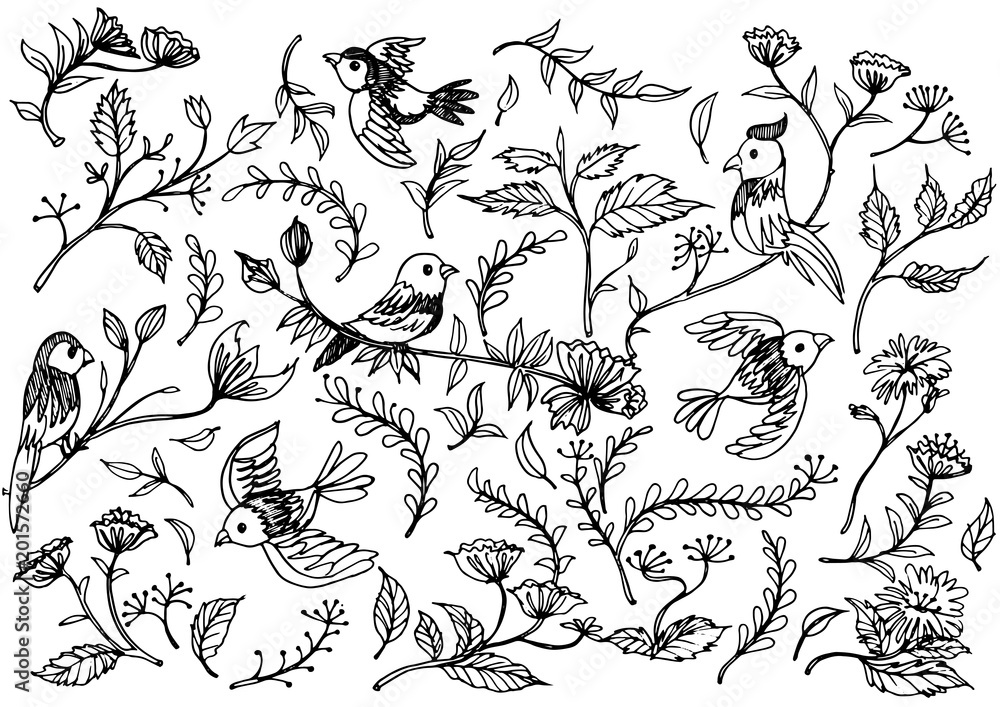 Obraz premium Hand Drawn floral ornaments with flowers and birds