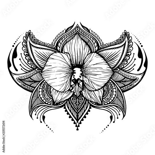 Hand-drawn orchid in east style