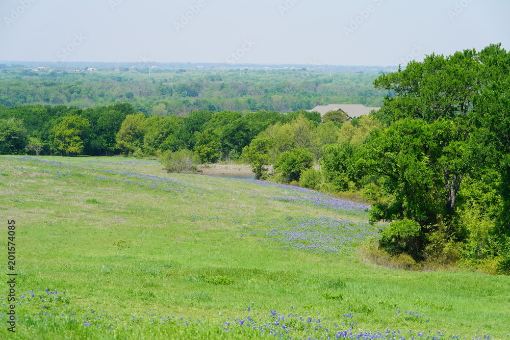 Countryside view of Bluebonnet Trails in North Texas