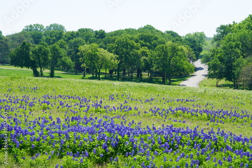 Countryside view of Bluebonnet Trails in North Texas