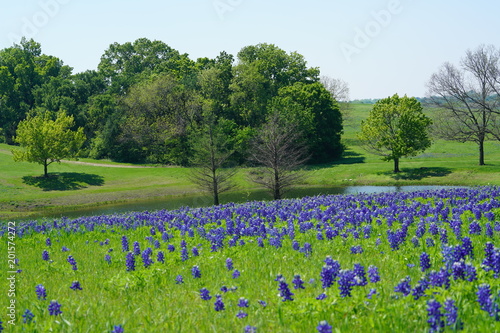 Countryside view of Bluebonnet Trails in North Texas