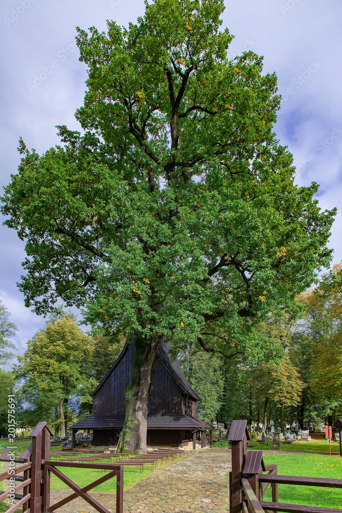 聖レオナルド教会