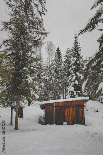 Snowy Cabin © Grant
