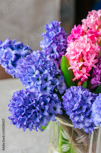 Bouquet of different color of hyacinth flowers in vase. Close up. life style concept.