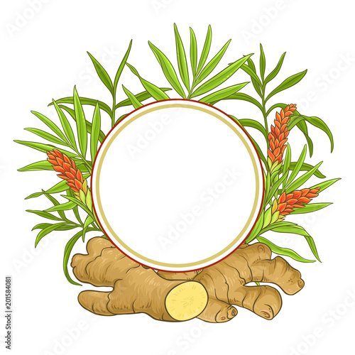 ginger vector frame
