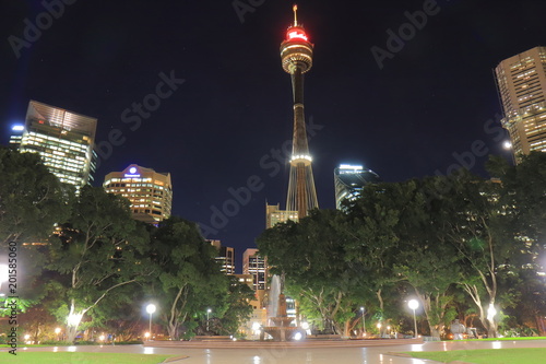 Hyde park night cityscape Sydney Australia