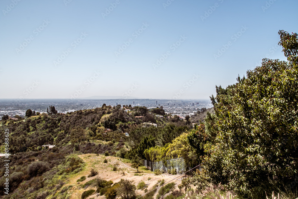 Mountain slope covered with coniferous trees