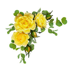 Yellow rose flowers with eucalyptus leaves