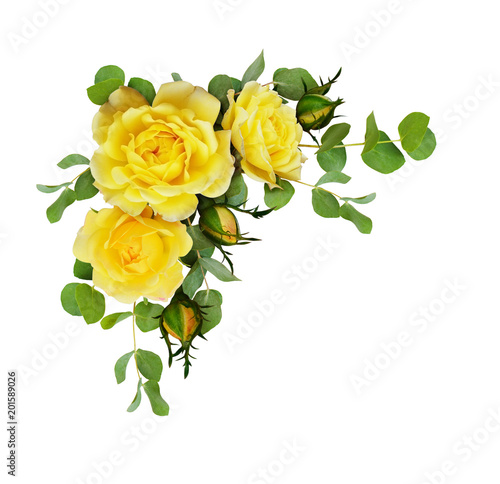 Yellow rose flowers with eucalyptus leaves