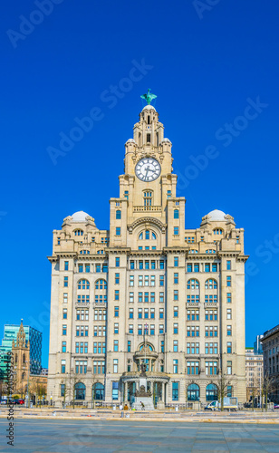 The royal liver building in Liverpool, England photo
