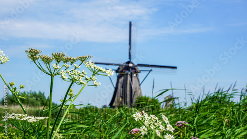 Distant windmill in Kinderdijk, Netherlands