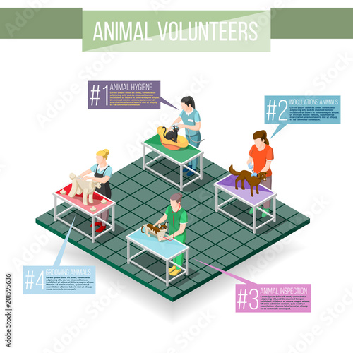 Animals Volunteers Isometric Infographics
