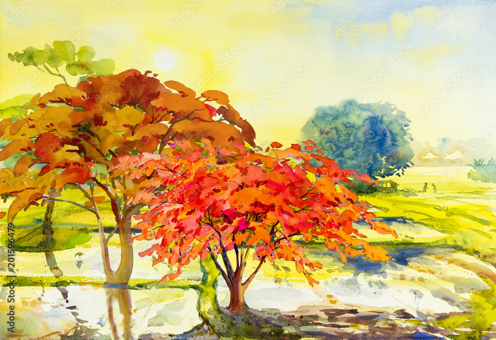 Obraz Akwarela krajobrazowy obraz kolorowy Pawi kwiatów drzew pole uprawne