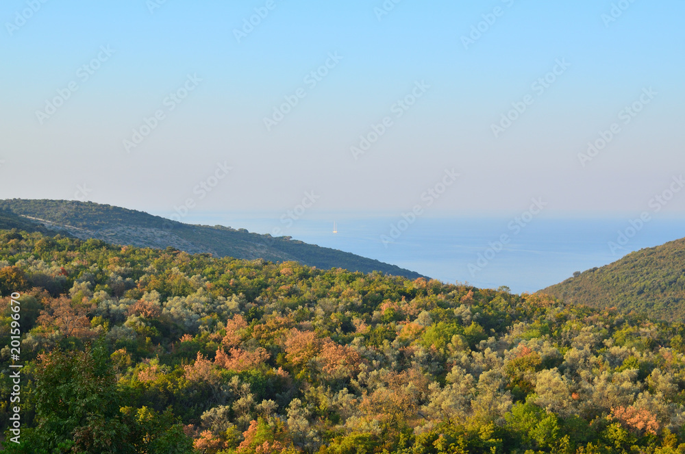 Landscape with a sea bay and hills covered with lush plants and trees