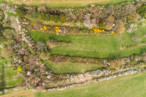 Vogelschutzhecken aus der Vogelperspektive