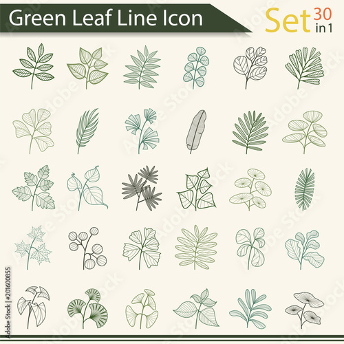 Green Leaf Line Icon Set - Vector
