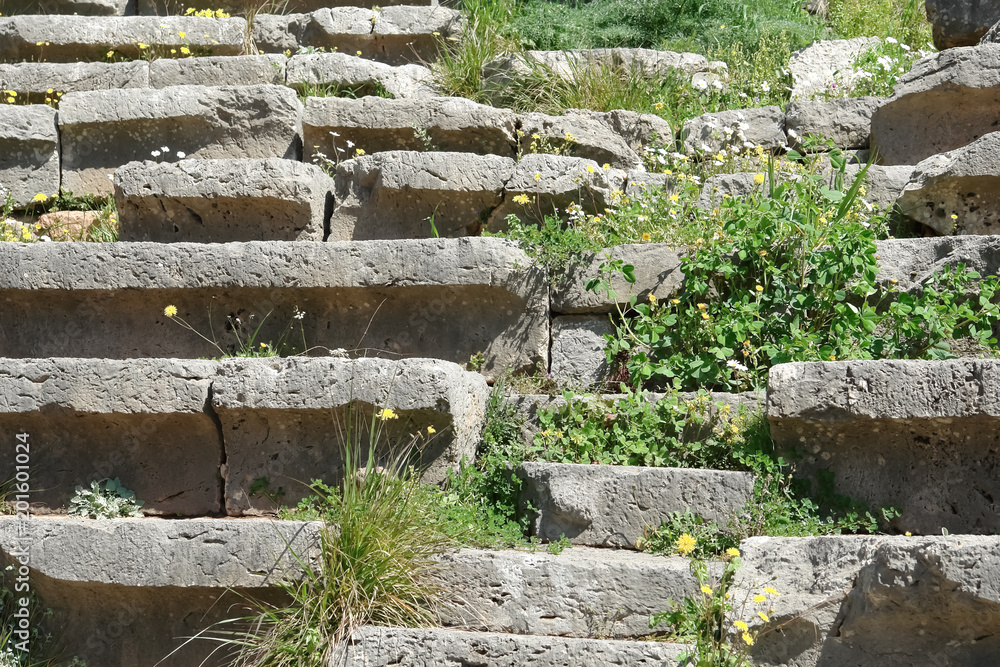 Stone benches and spring flowers in the Ancient Theatre of Delphi.